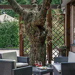 Park Junior Ξενοδοχείο
