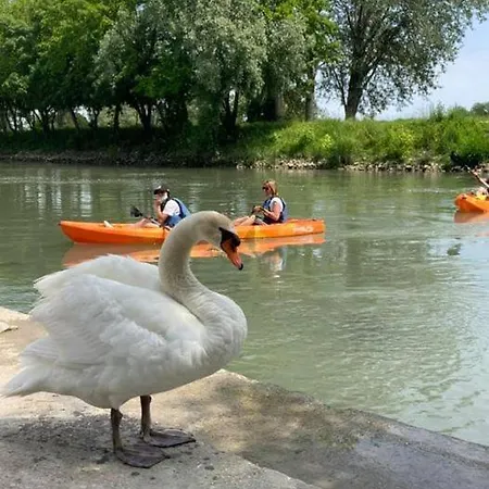 Park Junior 4* Quarto d'Altino