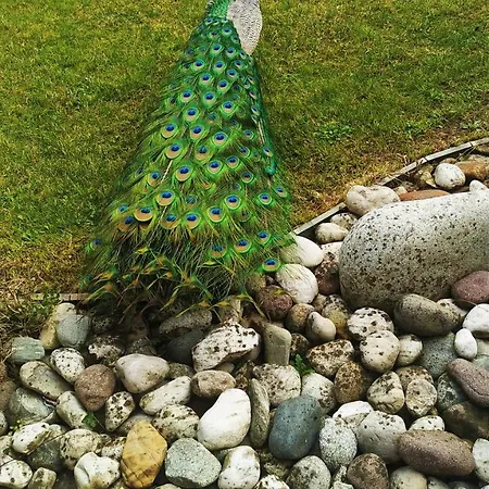 Park Junior Quarto dʼAltino