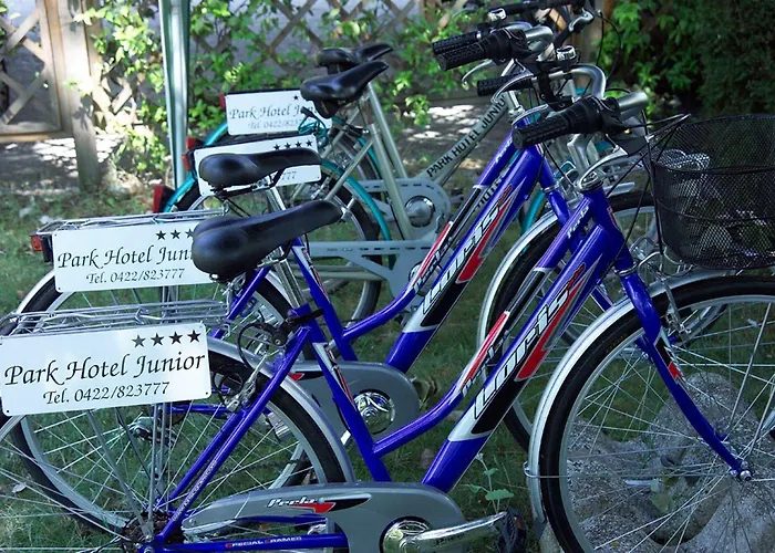 Park Junior Quarto dʼAltino