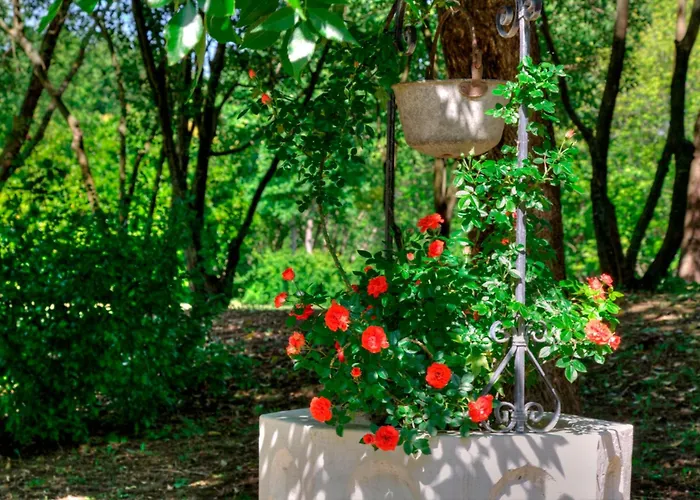 Park Junior Szálloda