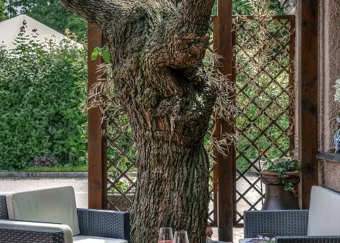 Park Junior Szálloda