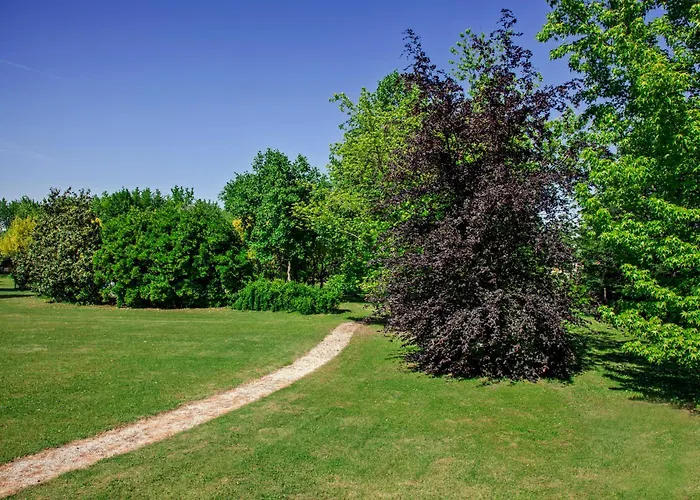 Szálloda Park Junior 4*