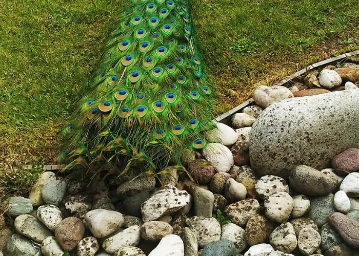 Park Junior Quarto dʼAltino